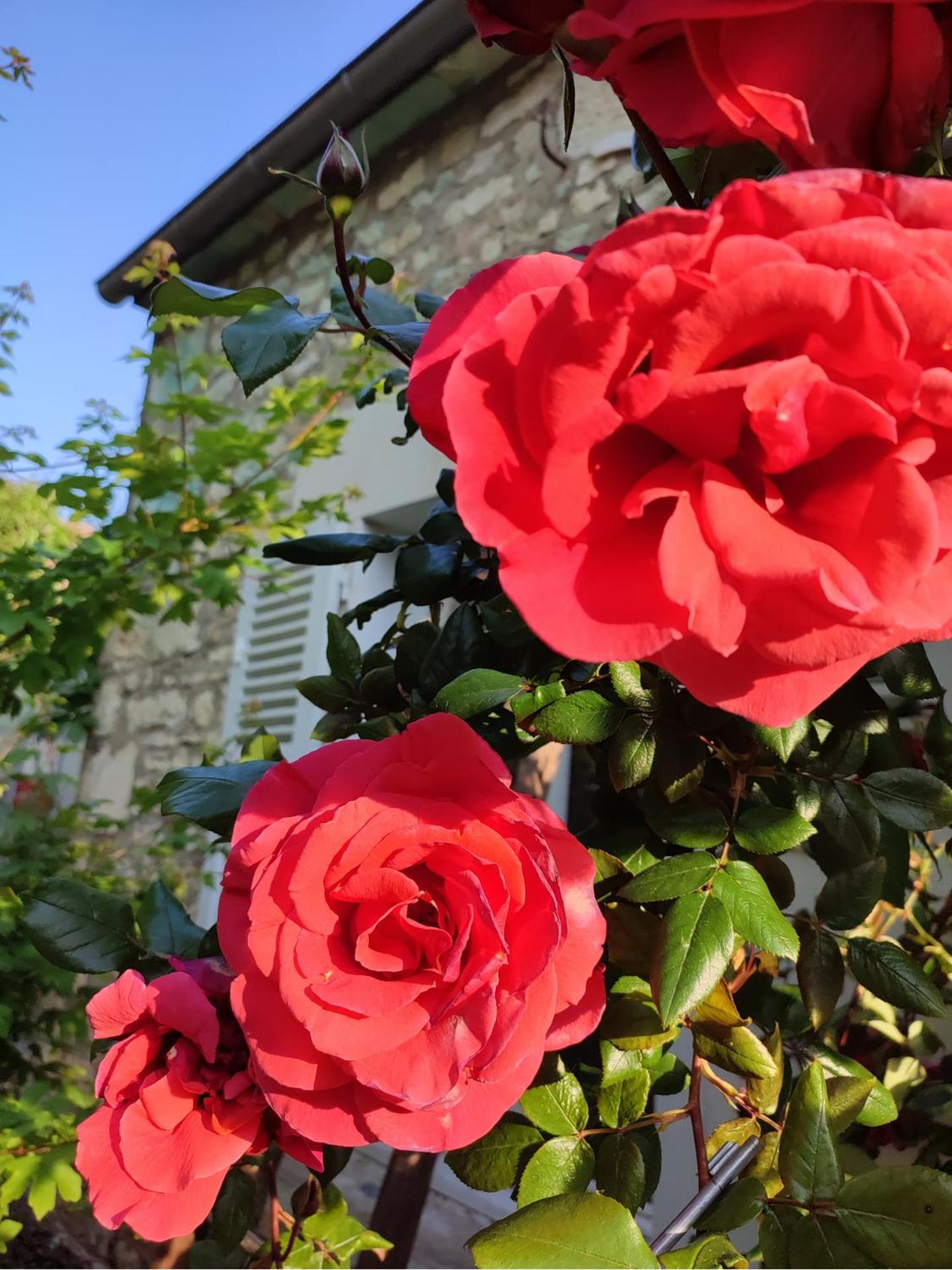 Gite En Plein Coeur Du Vignoble Chablisien Courgis Eksteriør bilde